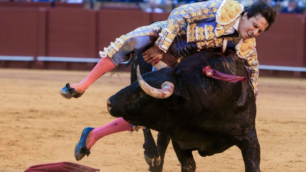 El parte médico de Roca Rey tras su cogida en Sevilla: "Cornada muy grave con una extensa rotura de los músculos vasto interno y sartorio”