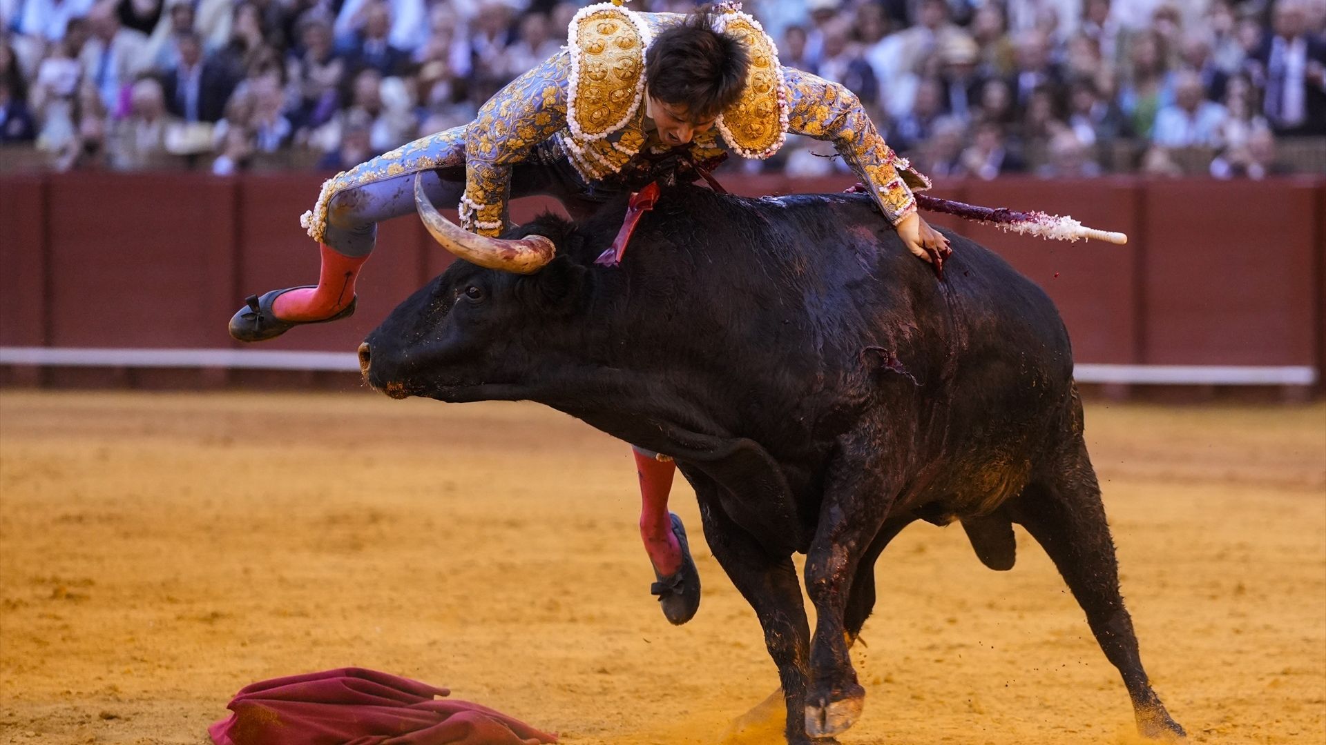 El torero Andrés Roca Rey, siendo zarandeado por el quinto toro de la corrida del jueves en La Maestranza
