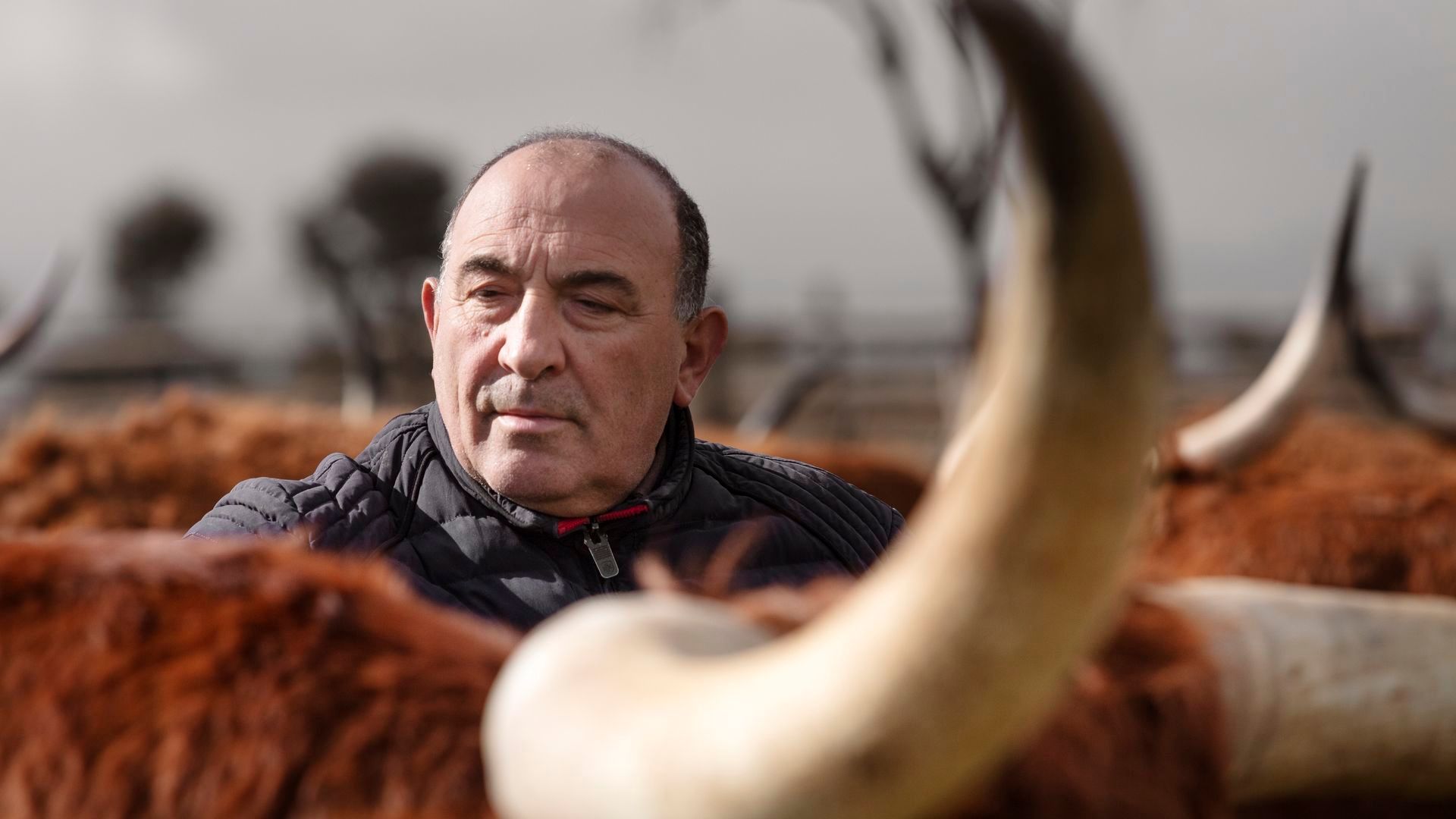 La materia prima de calidad es la base