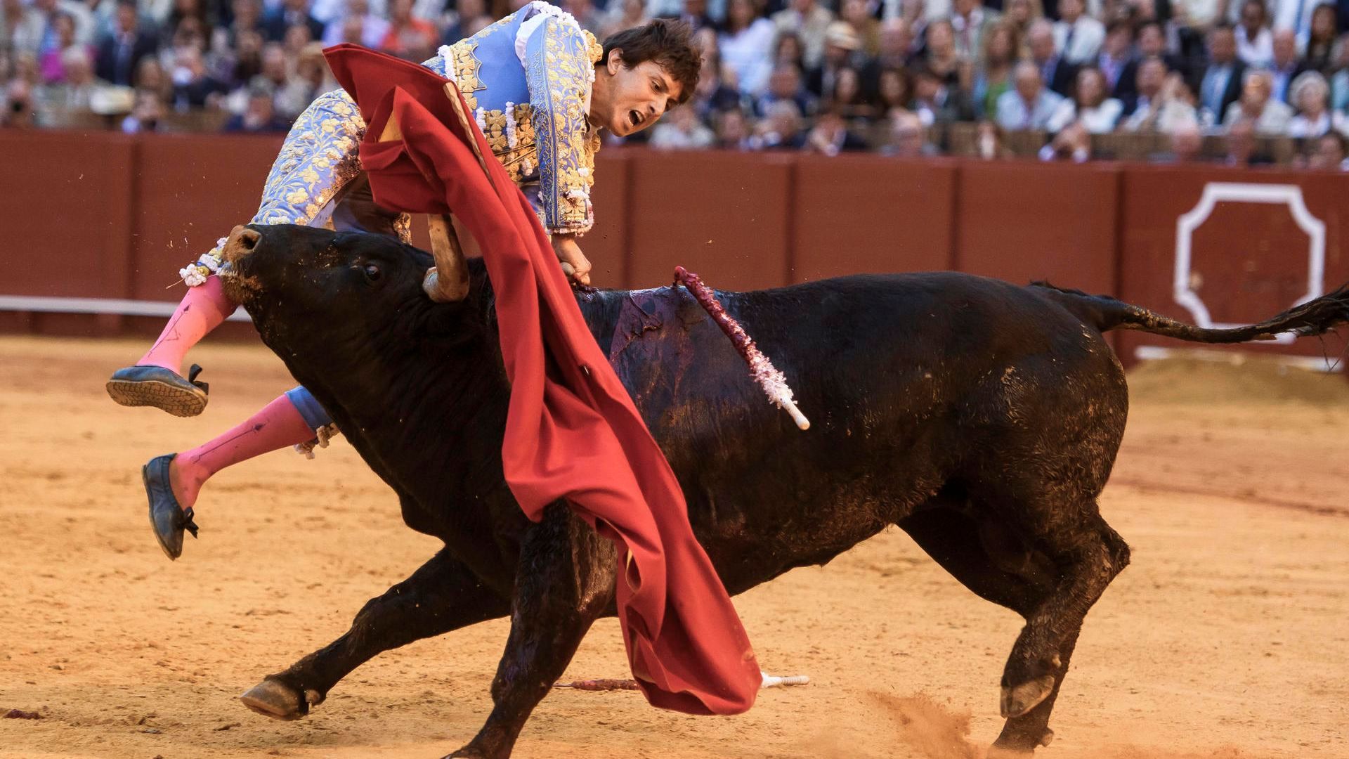 Roca Rey llegó a cortar dos orejas, que le fueron llevadas hasta la enfermería tras su grave cogida en la plaza de la Maestranza