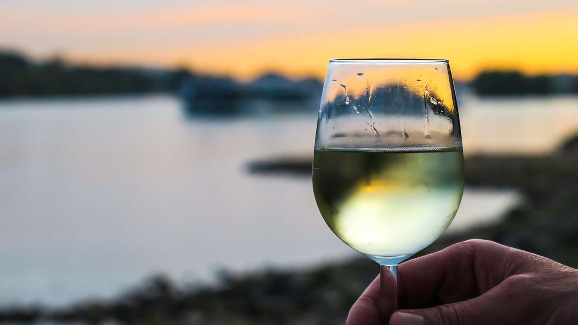 Vino blanco: el vino del momento