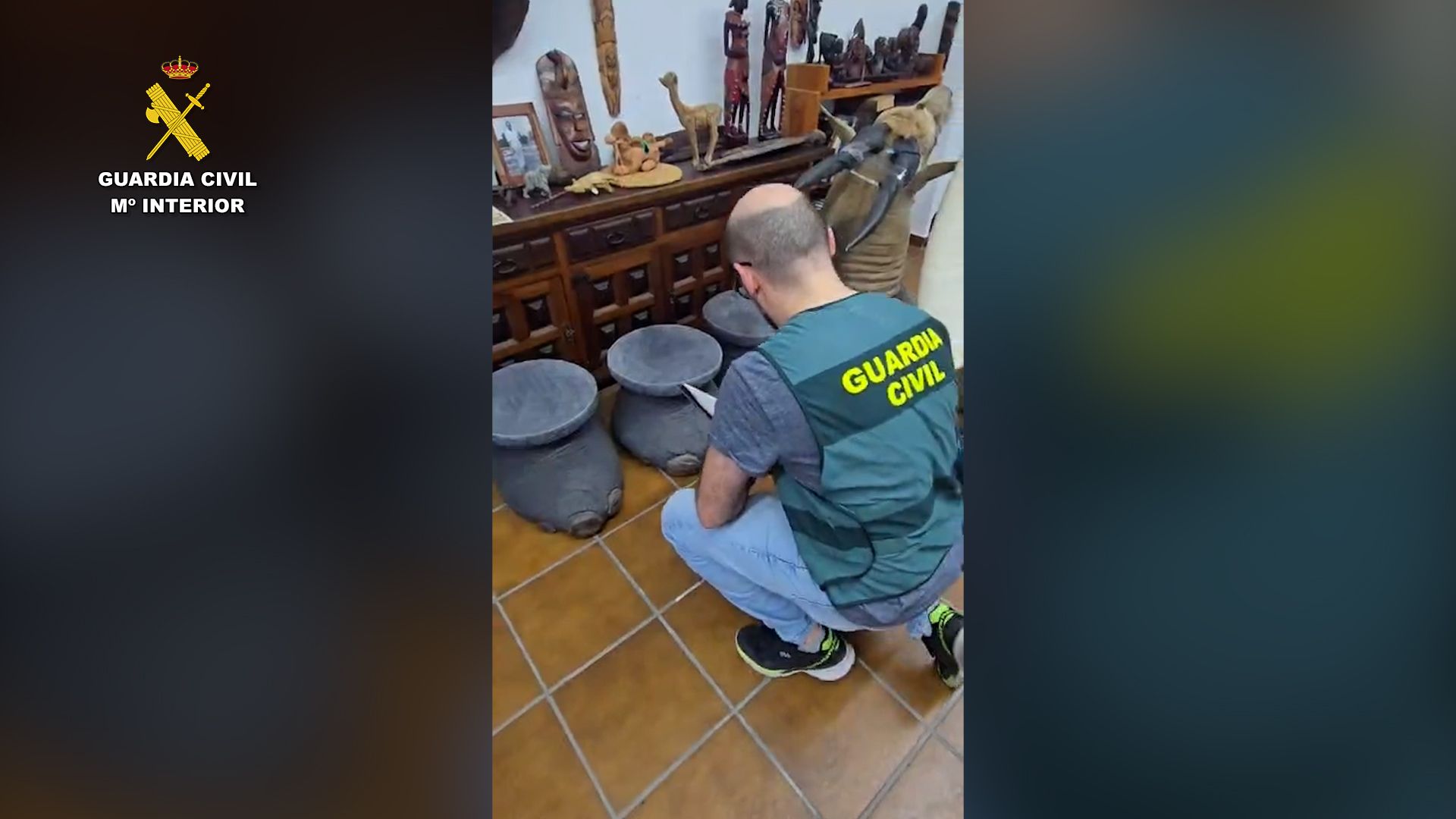 Alfombra piel leon Almería 03