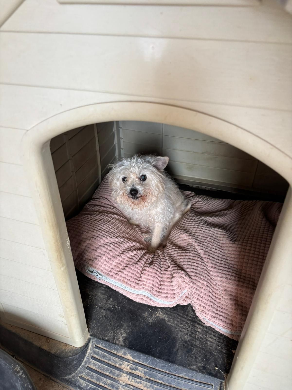 WhatsApp Image 2026-04-27 at 11.11.09 (1)