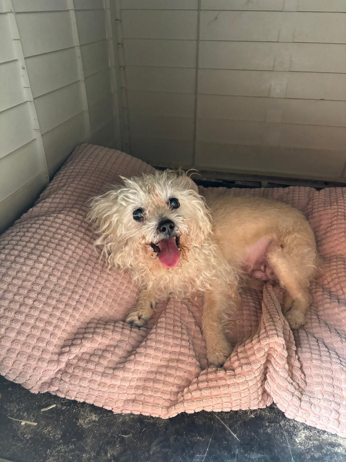 WhatsApp Image 2026-04-27 at 11.11.09 (3)