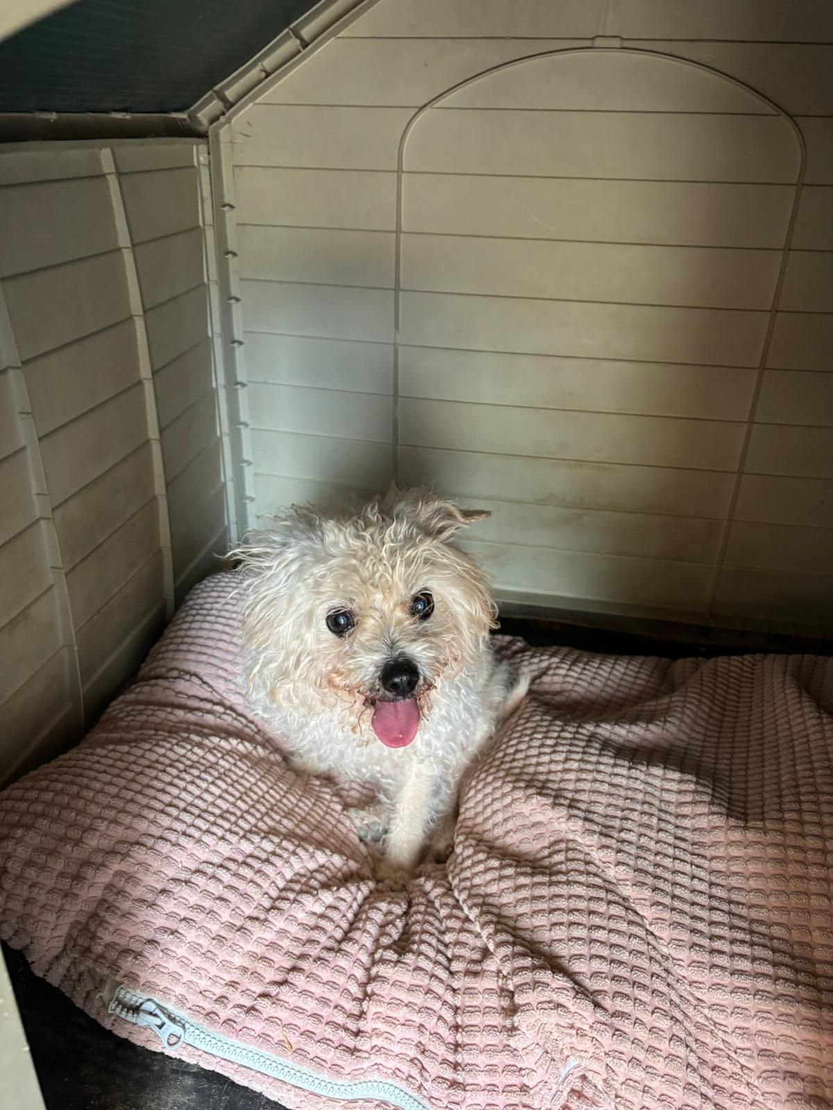 WhatsApp Image 2026-04-27 at 11.11.09 (4)