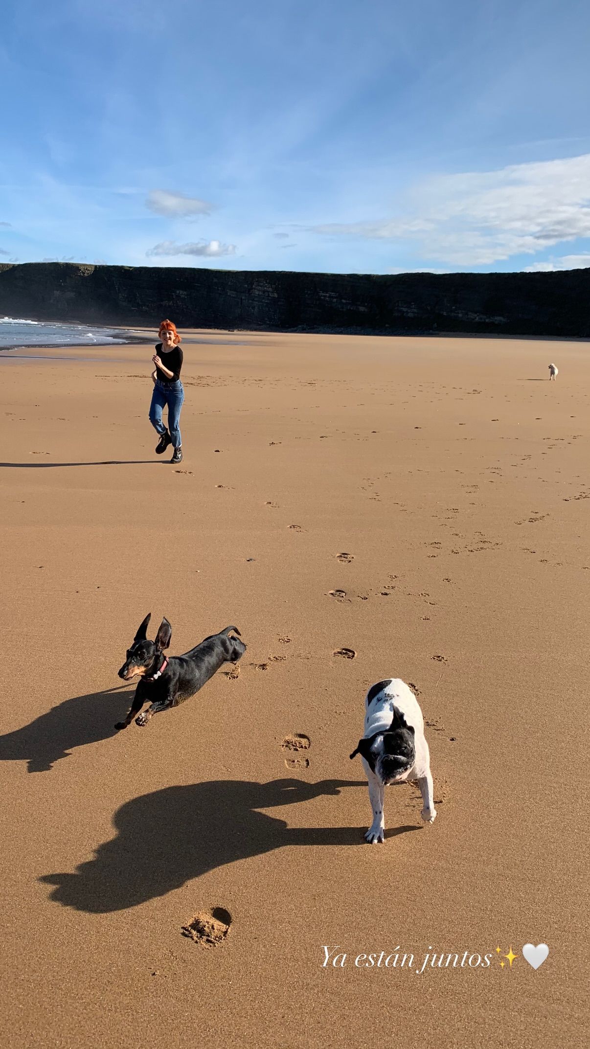 Angy se despide de su perro