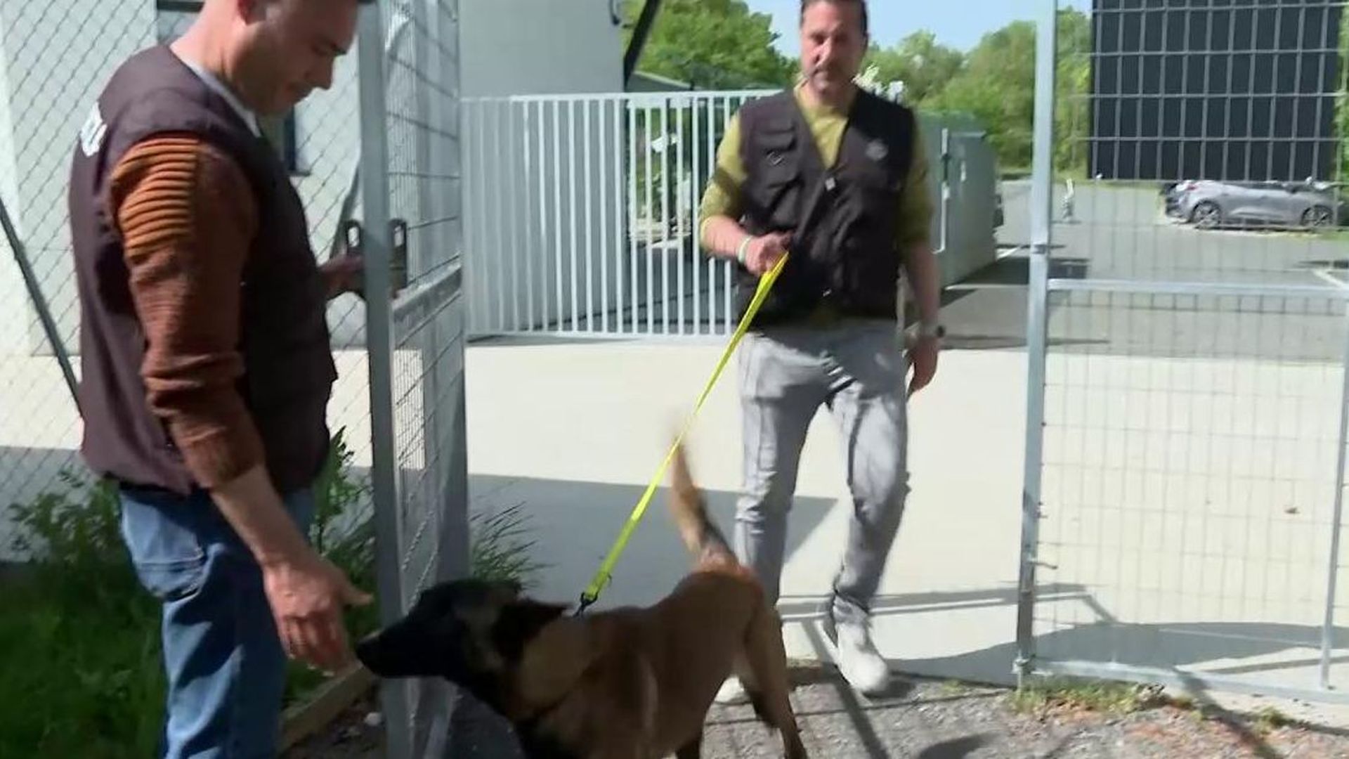 Aran, el perro abandonado que quiere pasar las oposicoines a la Ertzaintza