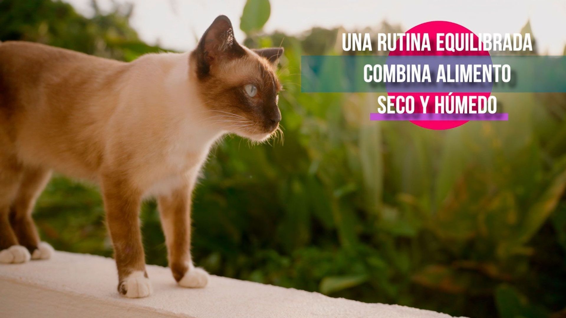 IUMIUKY MIX FEEDING PROGRAMA