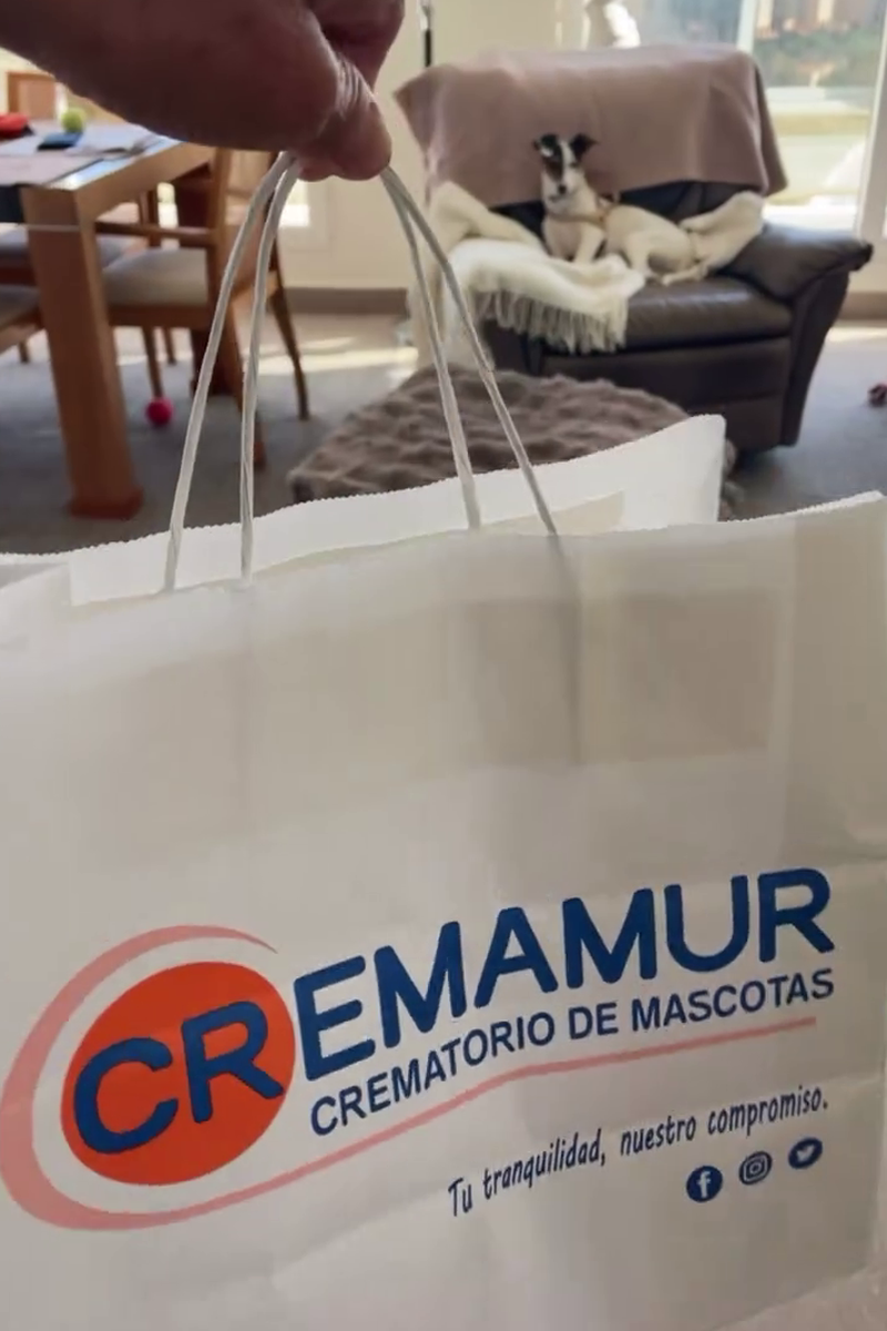 Maite Galdeano, al llegar a casa con las cenizas de su perra Tila