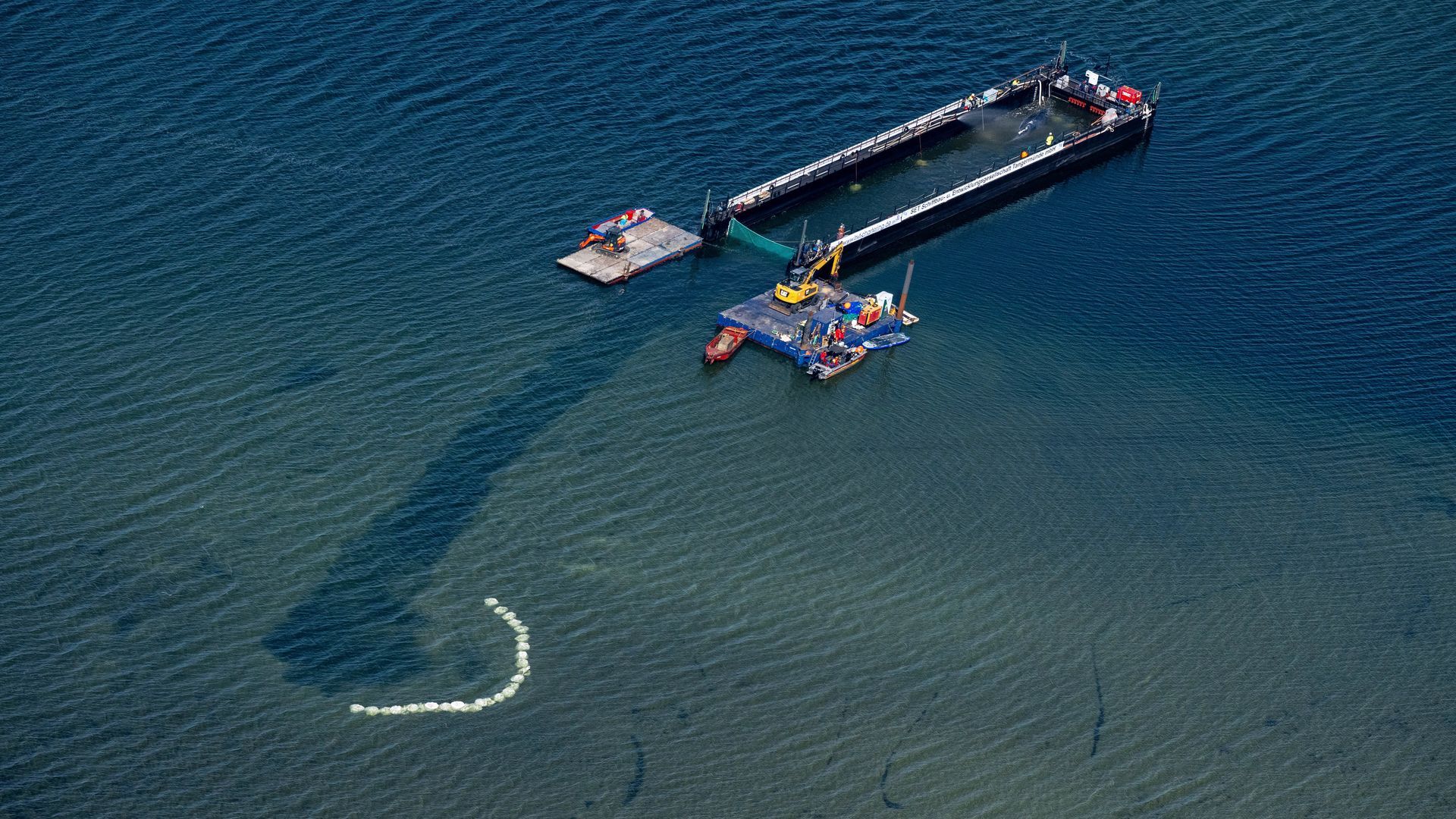 Objetivo, liberar a Timmy