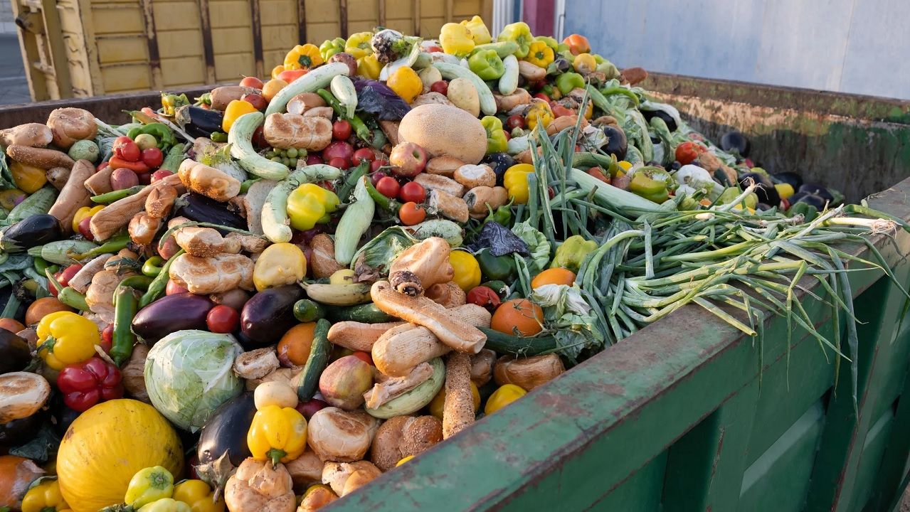 Alimentos desperdiciados