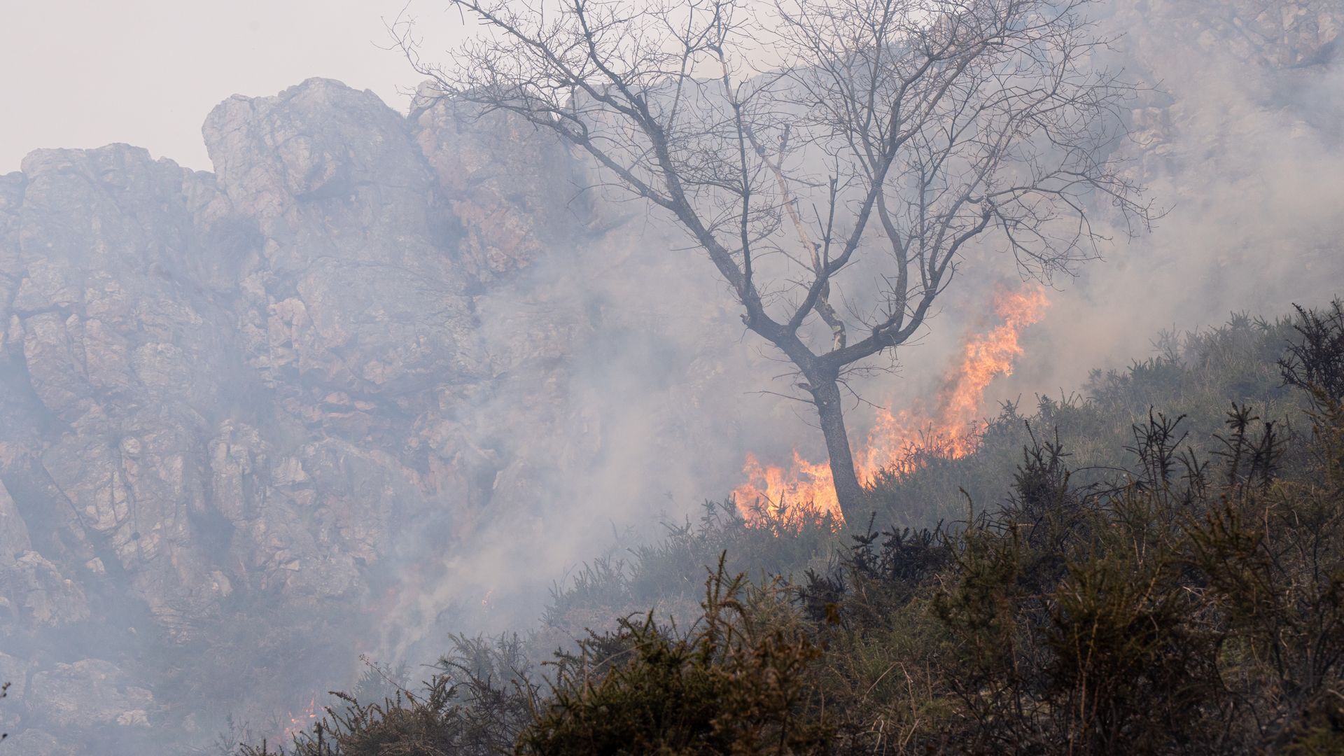 las-olas-de-calor-y-los-incendios-consecuencias-del-cambio-climatico-en-europa-16-9-aspect-ratio-def_da39