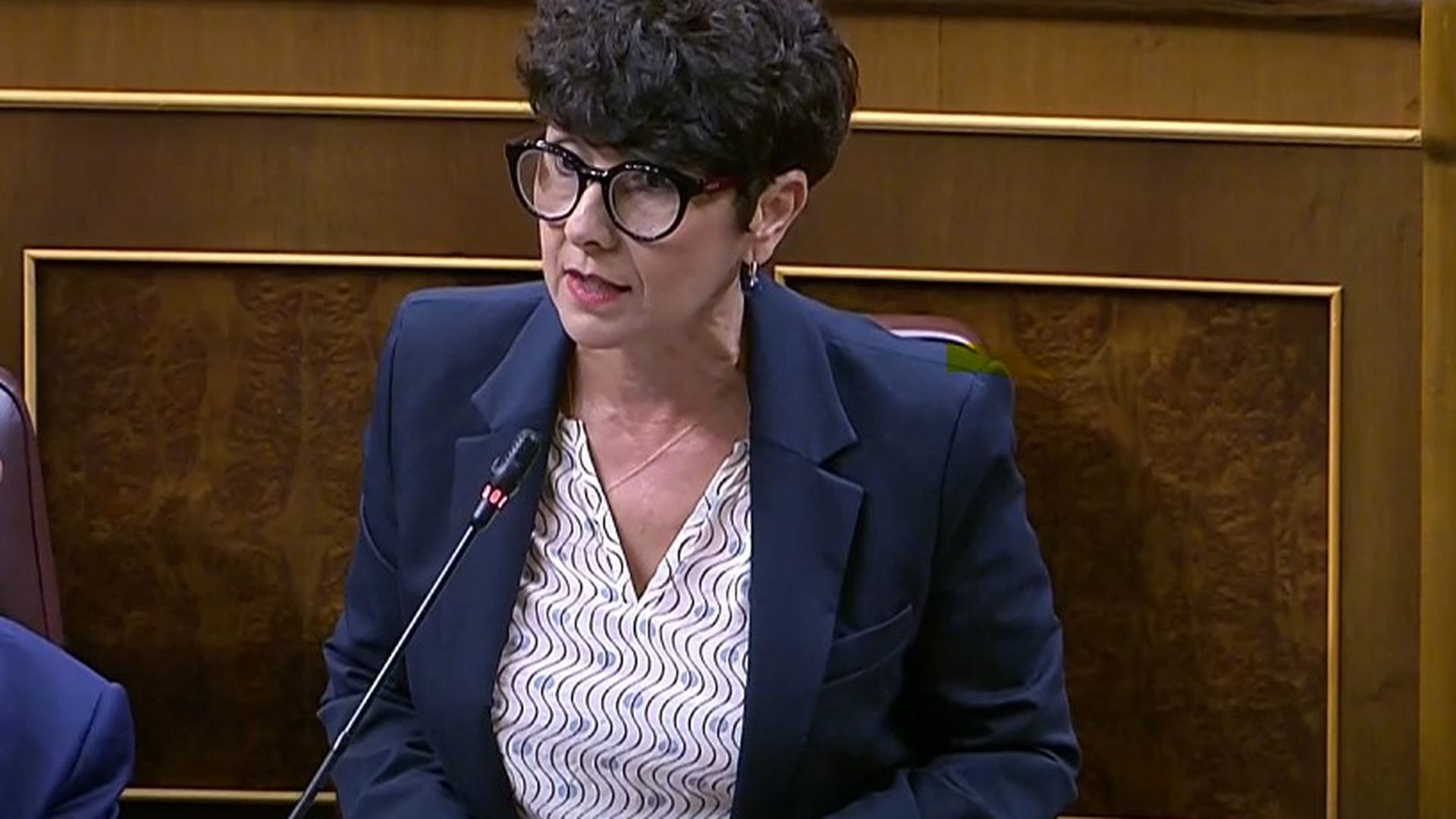 Maribel Vaquero, portavoz del PNV