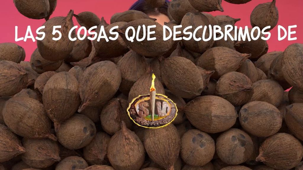 5 cosas que descubrimos de los concursantes de 'Supervivientes 2026'