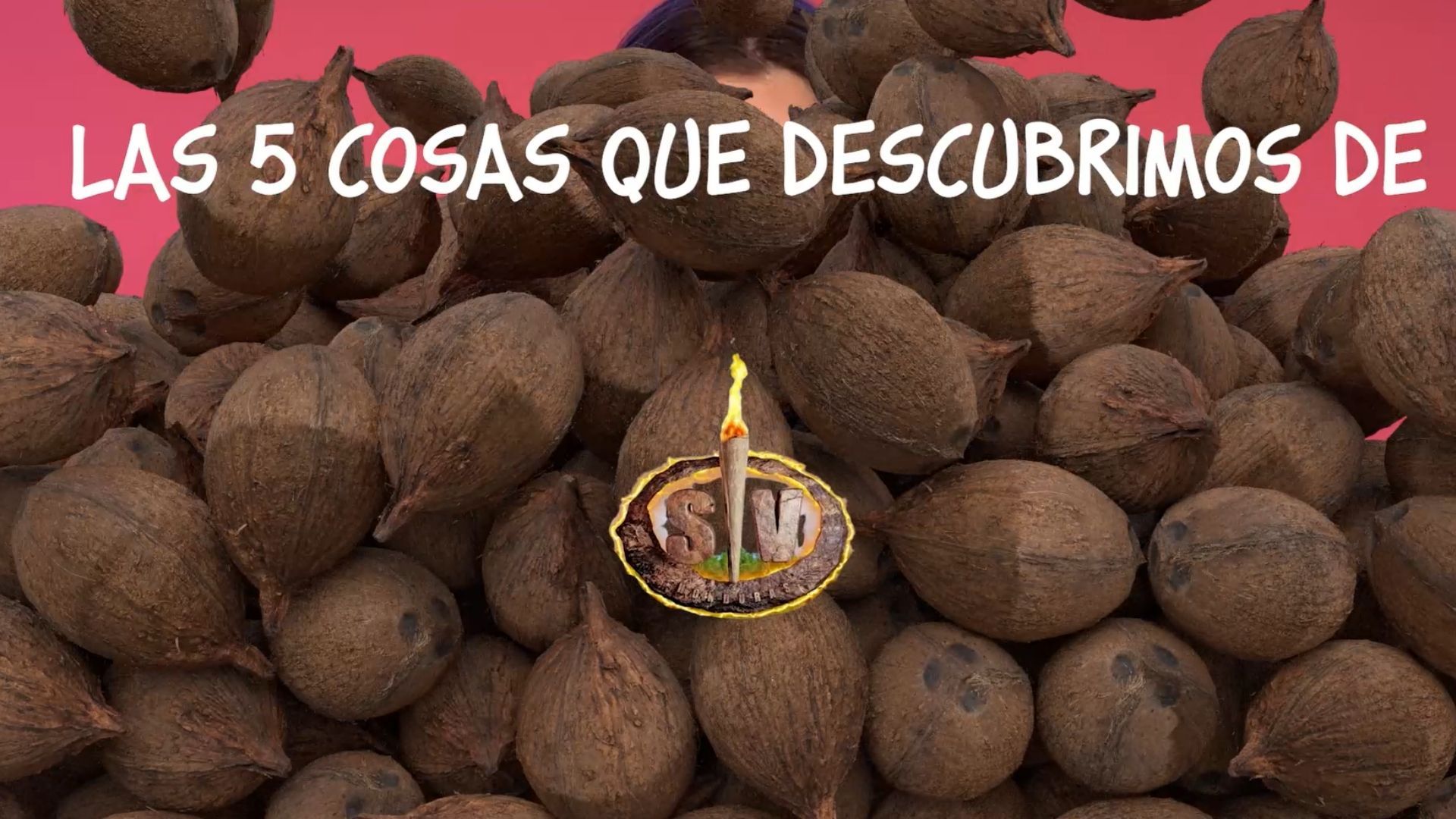 De romances de Hollywood a duros traumas: los 5 grandes secretos de los concursantes de 'Supervivientes 2026'