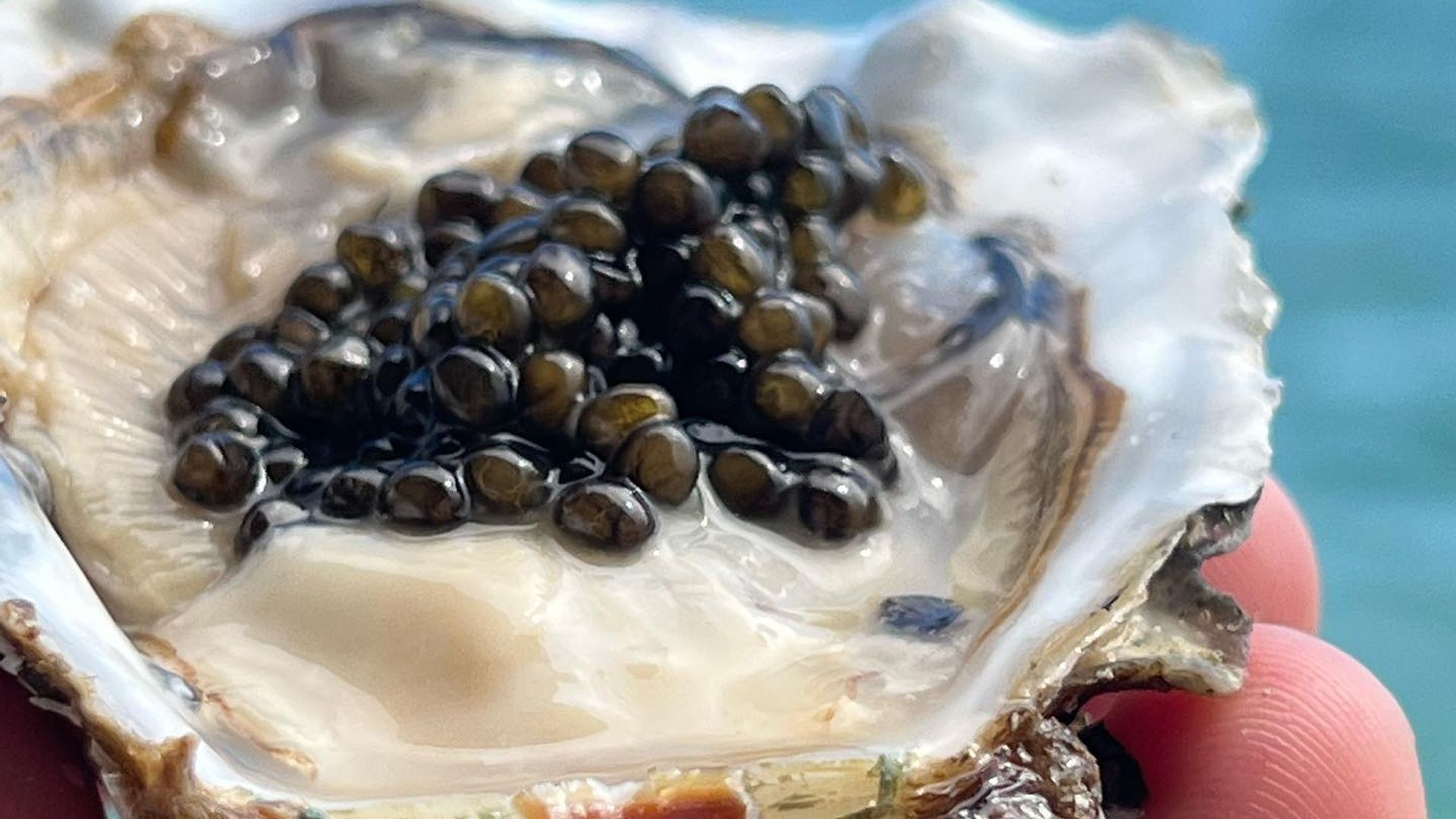 Ostra con caviar