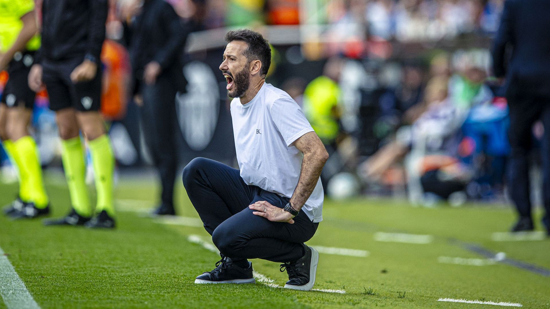 Carlos Corberán en Mestalla