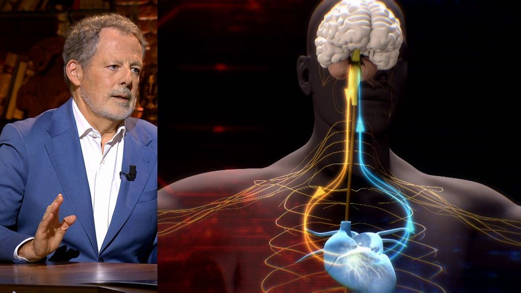 Las emociones cerebrales pueden dañar el corazón: "Un disgusto puede romperte el corazón de manera literal" Cuarto Milenio Temporada 21 Top Vídeos 839