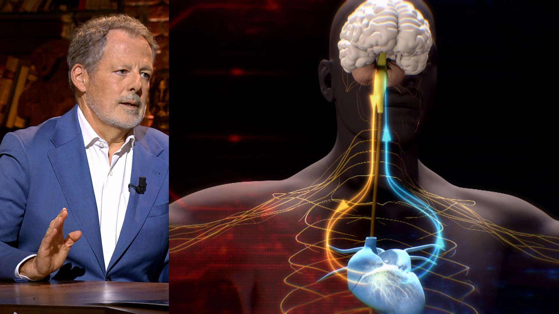 Las emociones cerebrales pueden dañar el corazón: 