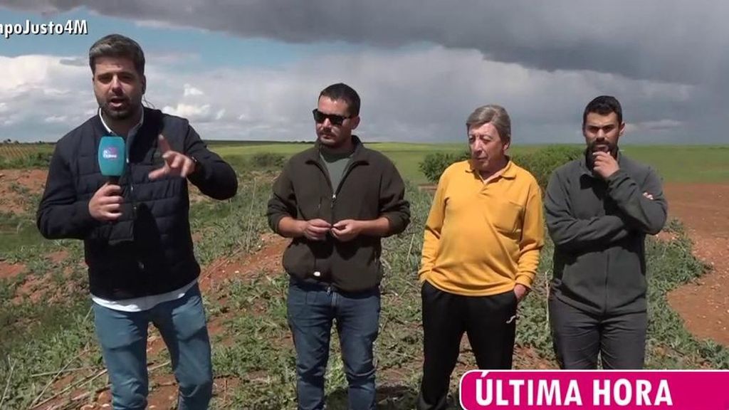 Una plaga de conejos pone en jaque a un grupo de agricultores conquenses: "Nos está llevando al borde de la ruina"