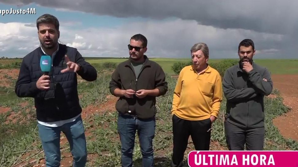 Una plaga de conejos pone en jaque a un grupo de agricultores conquenses: 