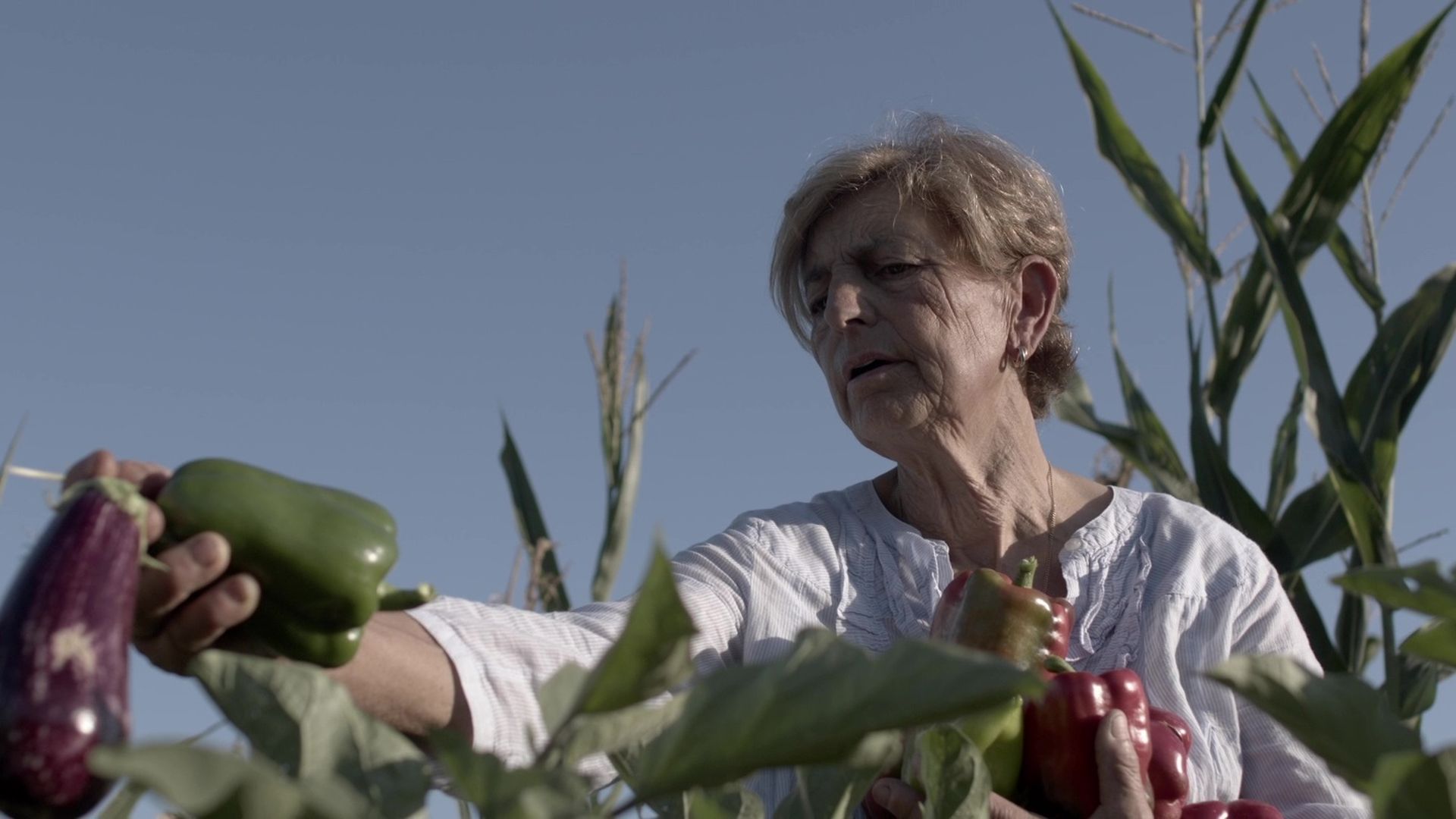 'Amas da Terra, el proyecto de Lucía Freitas de cultura culinaria que transporta la autenticidad de los sabores de la huerta gallega al paladar de sus comensales