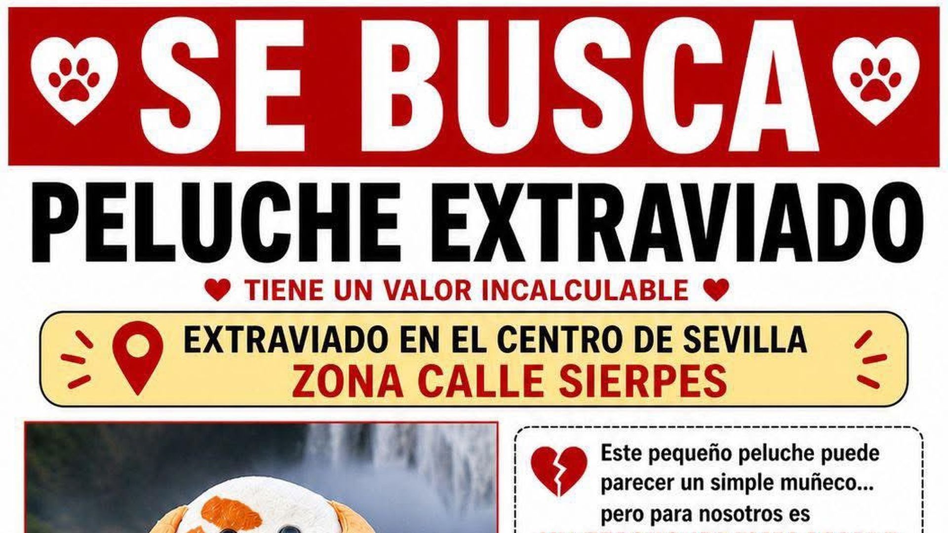 Cartel difundido para la búsqueda del peluche