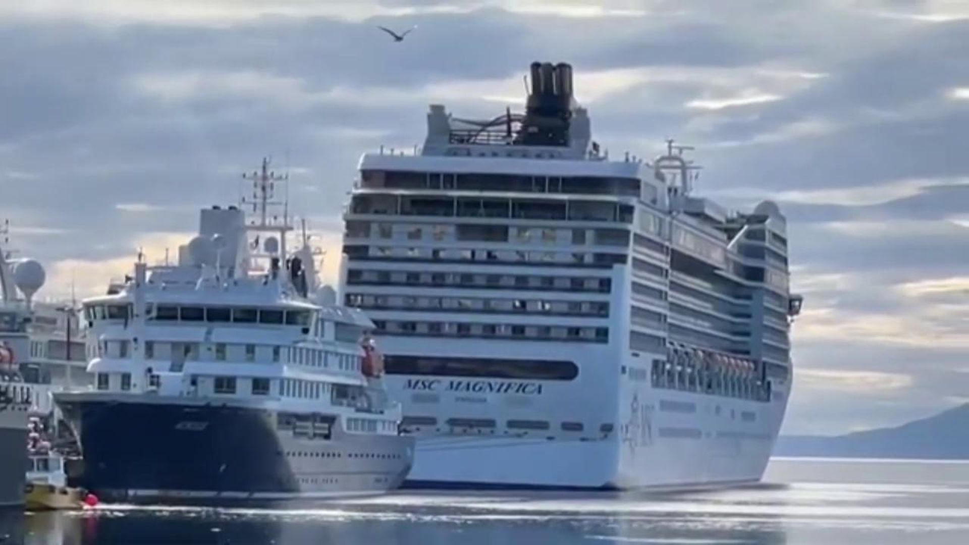 La OMS detecta un supuesto brote de hantavirus en un crucero que partió de Argentina a Canarias: los riesgos de mortalidad
