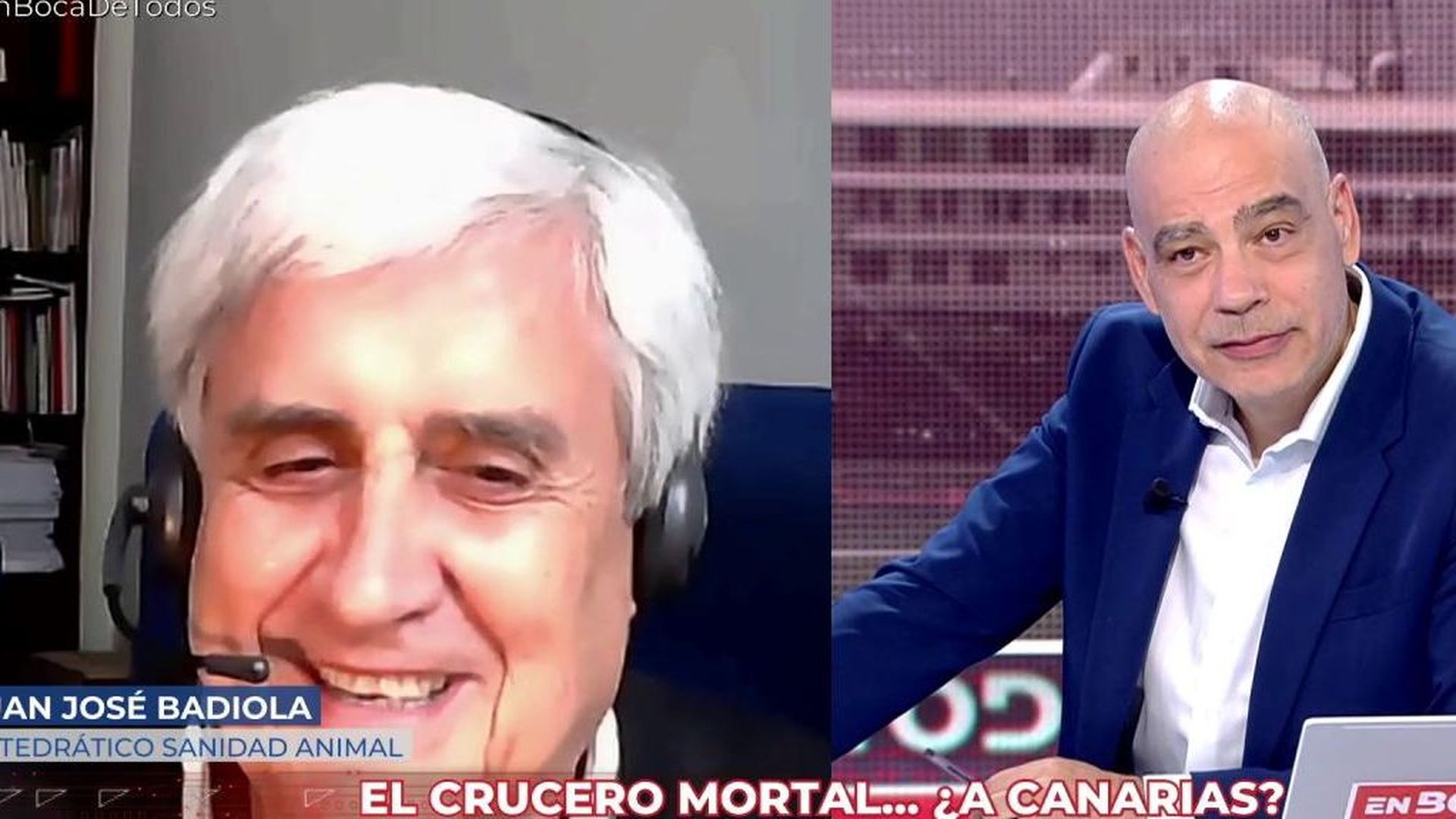 Juan José Badiola, catedrático sanidad animal, sobre el Hantavirus: “Se contagia por vía respiratoria”