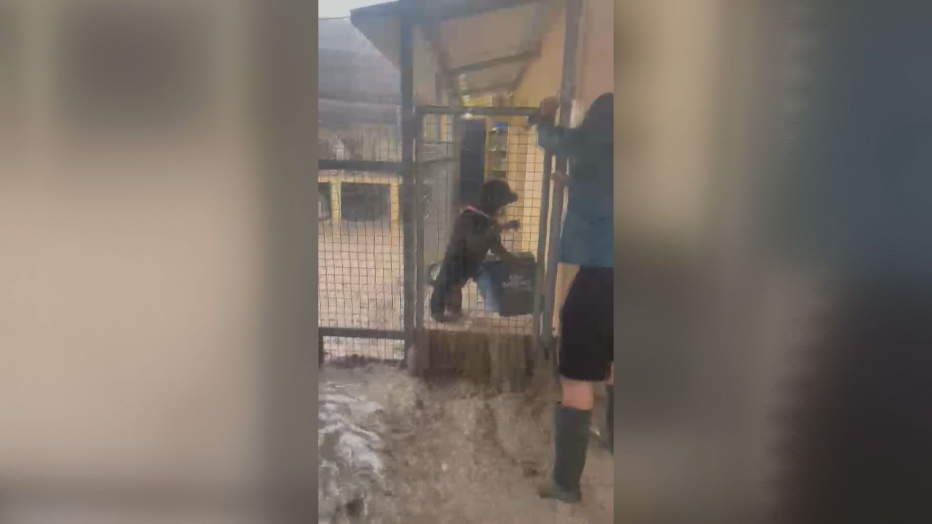 Una protectora de animales de Jaén pide ayuda urgente por los daños graves tras una inundación