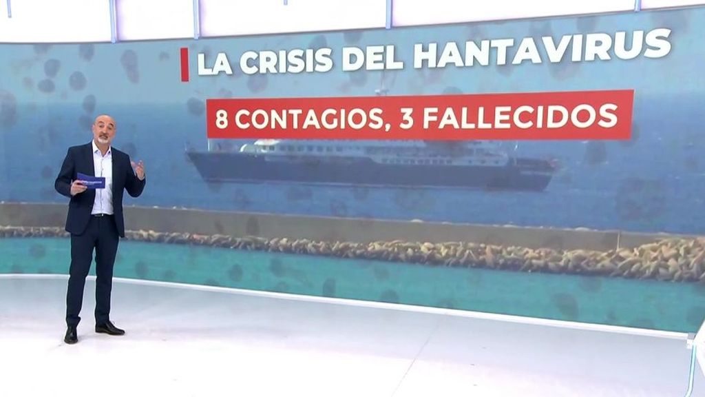 'Andes', la peligrosa cepa del hantavirus capaz de contagiarse de persona a persona