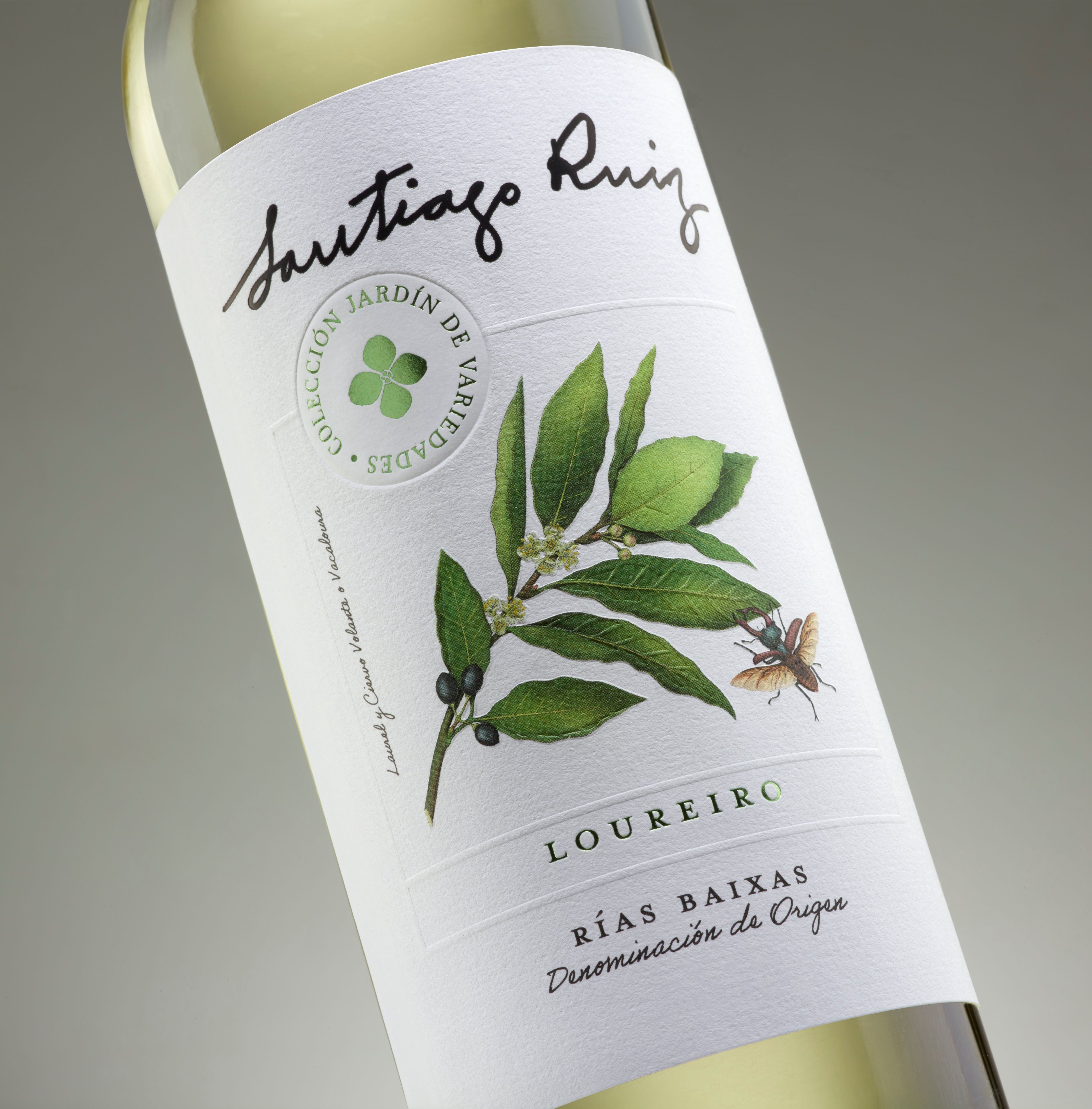 Loureiro, la expresión más pura de una variedad histórica de O Rosal