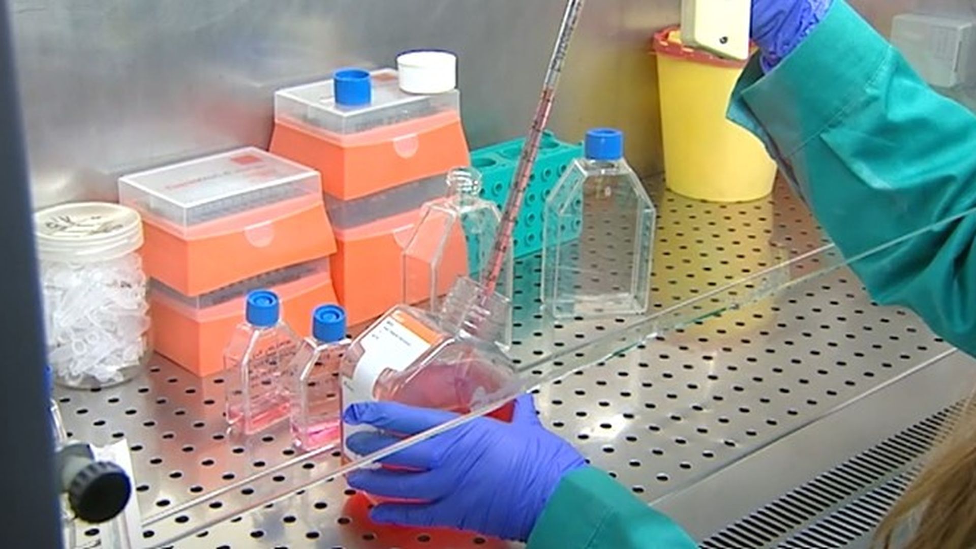 La comunidad científica descarta una pandemia a raíz del brote detectado en el crucero afectado por hantavirus: "El riesgo es cero"