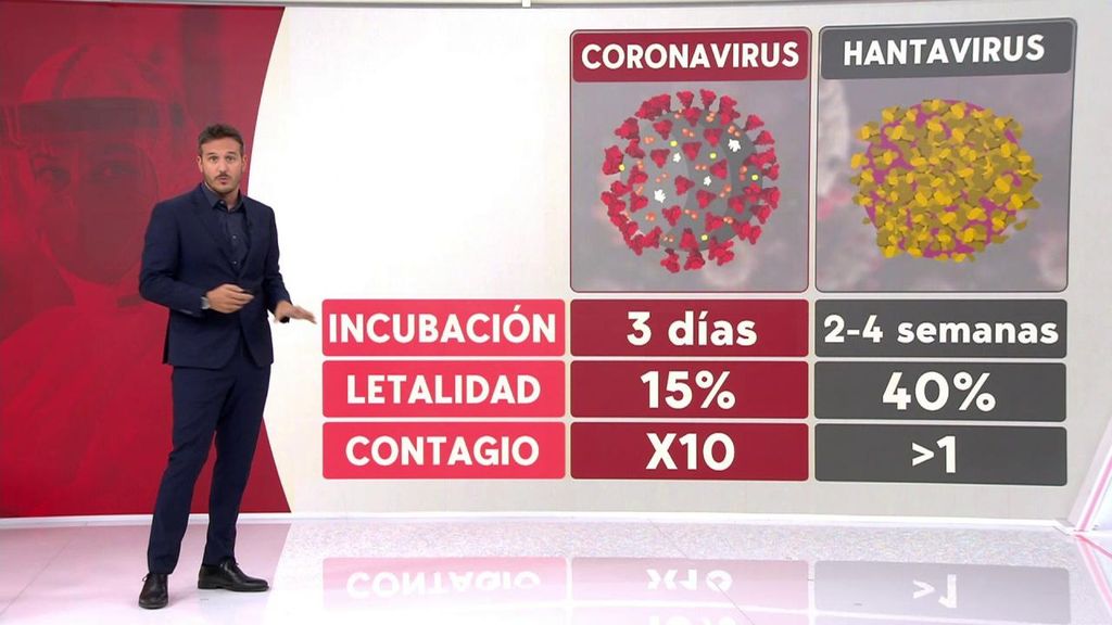 La OMS no teme una nueva pandemia: el hantavirus no contagia como el covid