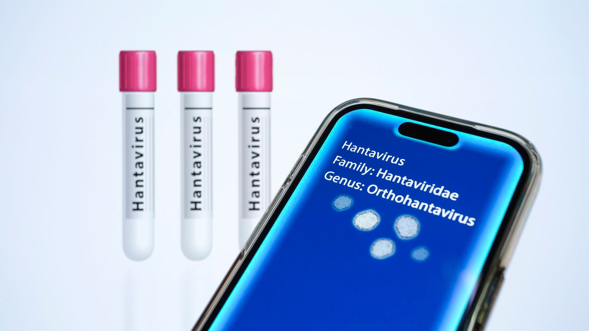La verdad sobre la vacuna del hantavirus