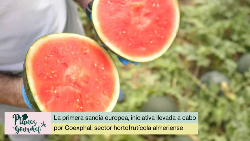 P105 - La primera sandía europea Planes Gourmet Temporada 2 Programa 105