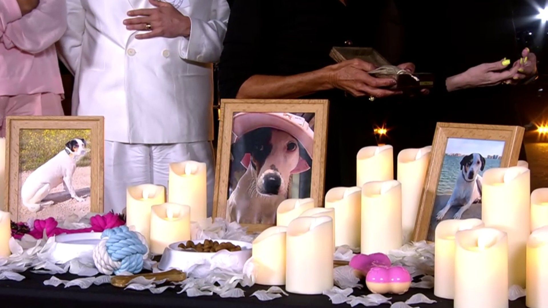 El funeral de Tila, la perrita de Maite Galdeano