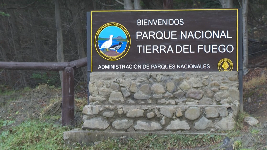 Cómo se inicio el brote de hantavirus: Argentina insiste en desvincular el origen de su territorio
