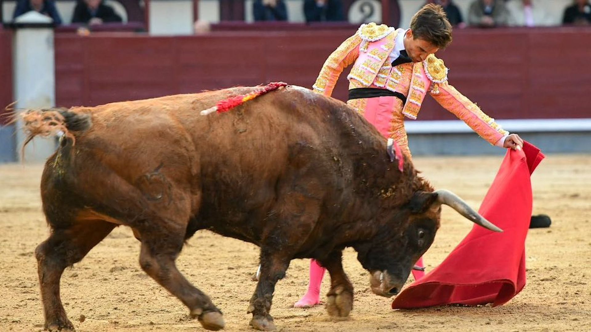 El torero Gonzalo Caballero rinde un emotivo homenaje a María Caamaño, la 'princesa futbolera': luce el traje rosa que prometió El torero Gonzalo Caballero rinde un emotivo homenaje a María Caamaño, la 'princesa futbolera': luce el traje rosa que prometió
