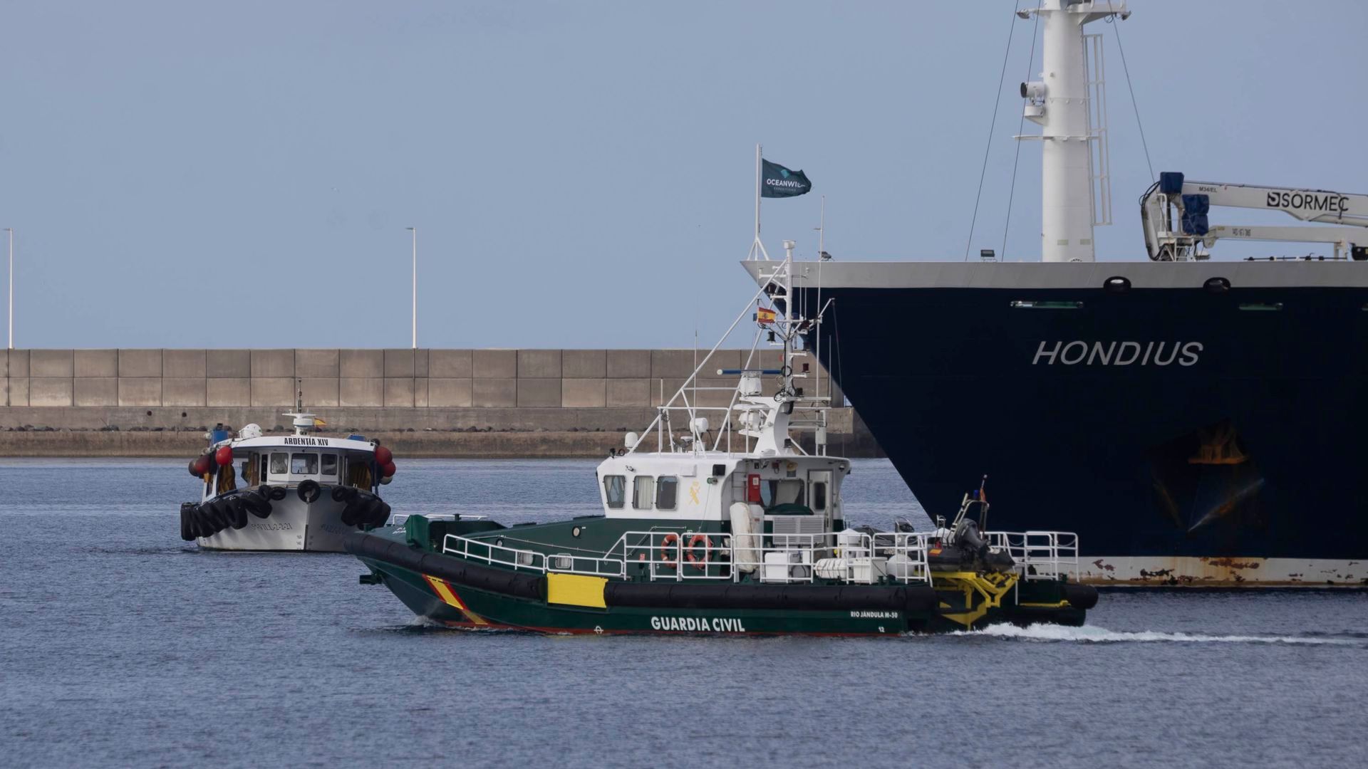 Hantavirus, última hora del brote en el crucero MV Hondius: uno de los franceses repatriados presenta síntomas en el vuelo a París