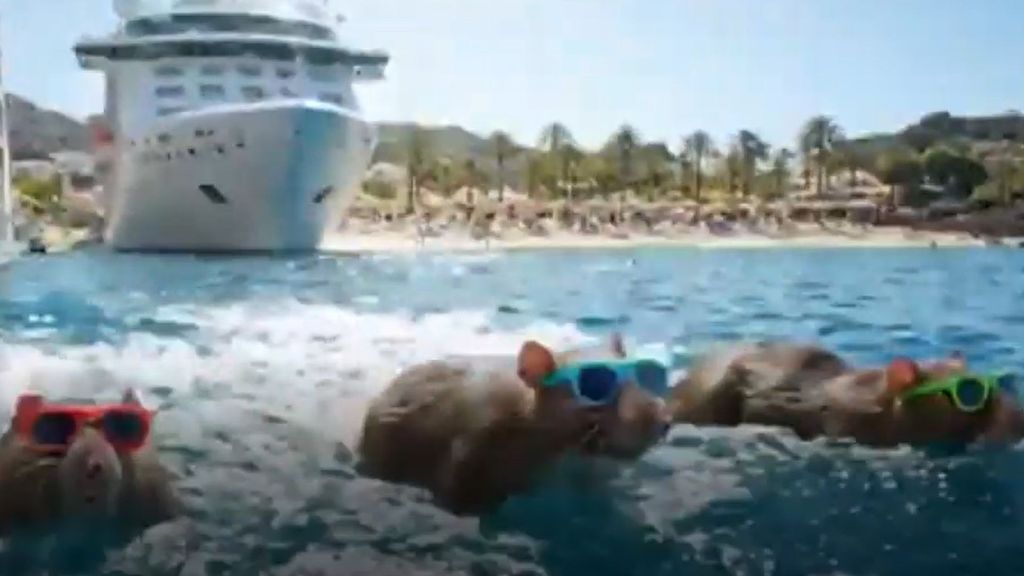 Clavijo, carne de meme con su teoría de los roedores nadadores colonizando Canarias: "El ratón del hantavirus no es acuático"