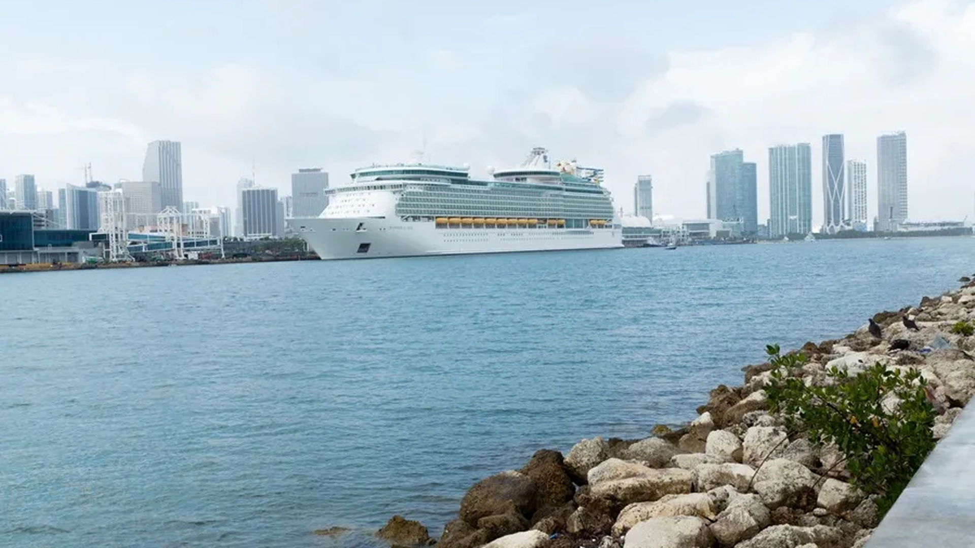 crucero-1