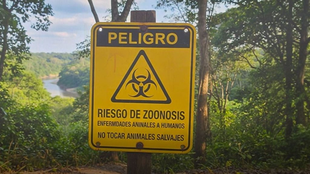 Los ingresos por zoonisis, se triplican en España en 15 años: el riesgo de contagio por animales vuelve a nuestro día a día