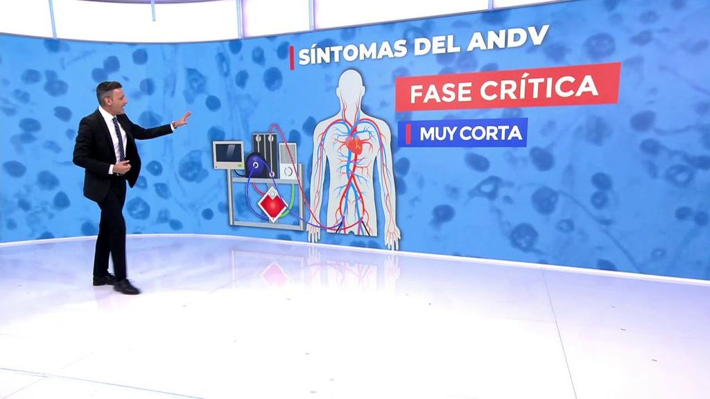 Así evoluciona el hantavirus: desde los primeros síntomas a la fase crítica