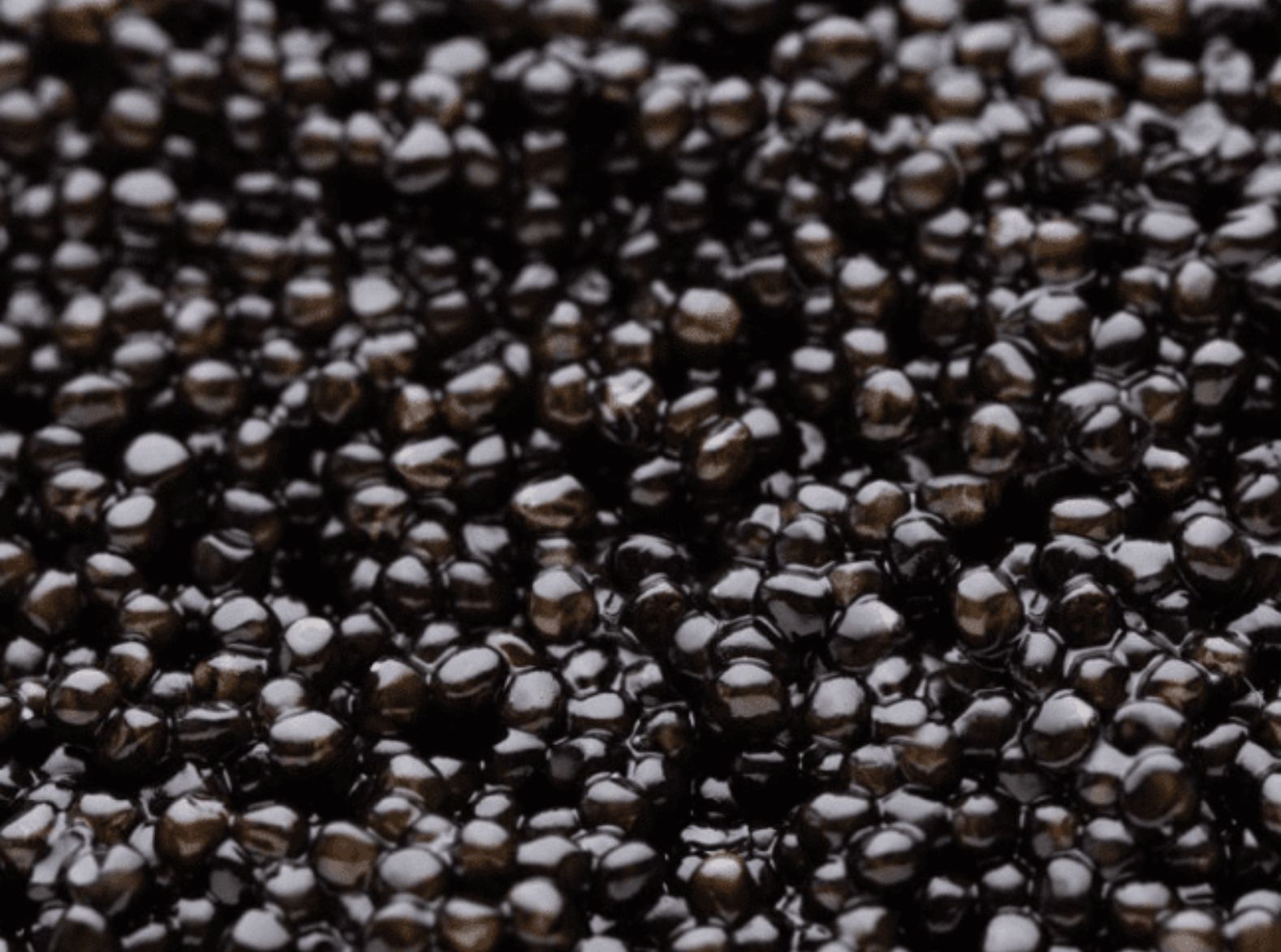 Caviar