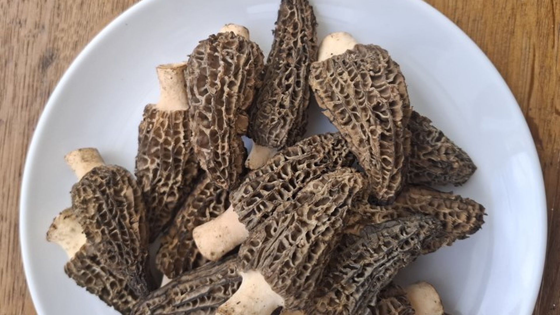 Colmenillas en la taberna La Yesca.