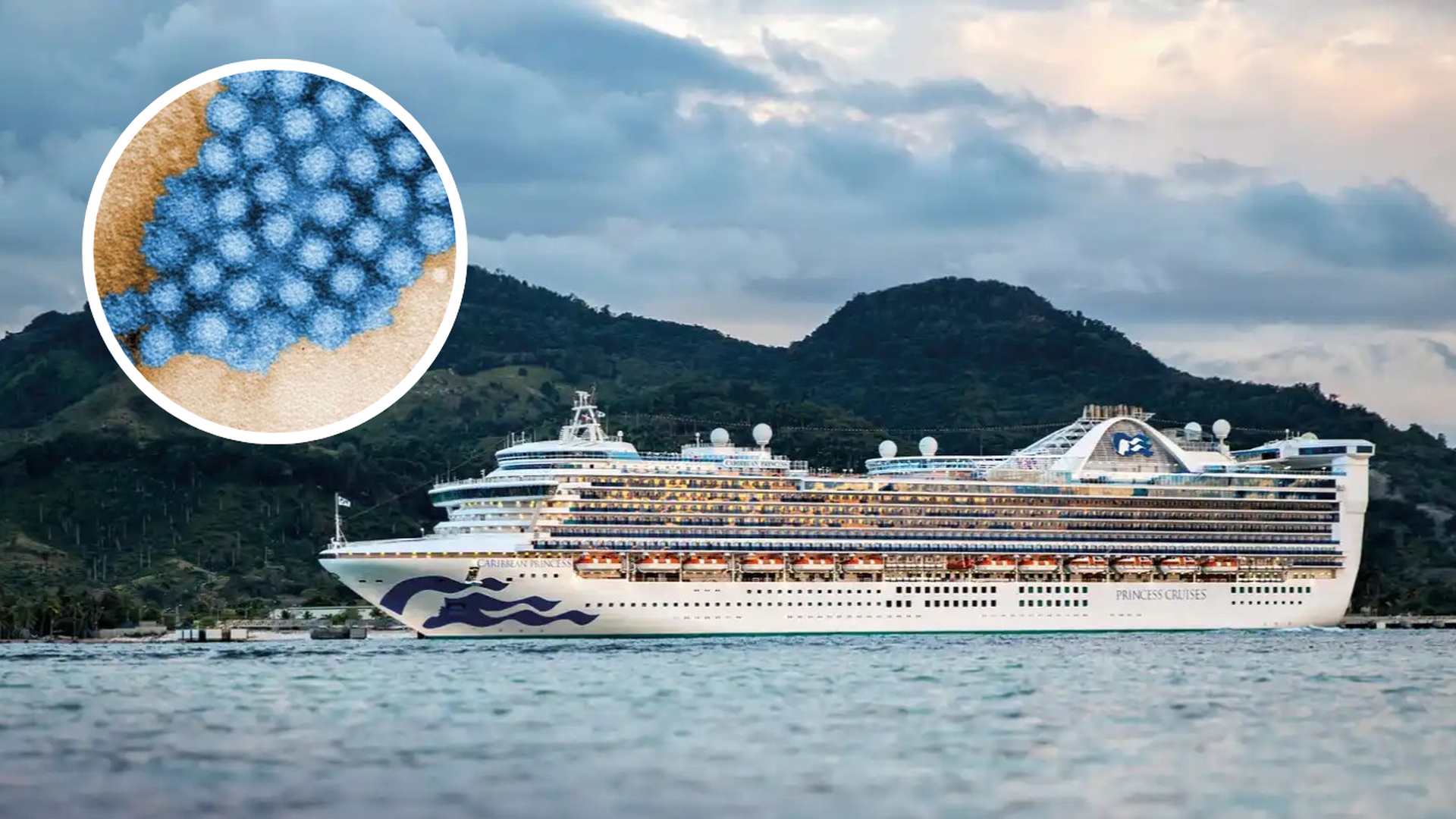 Fotomontaje de una fotografía del crucero Princess junto a partículas de norovirus Fotomontaje de una fotografía del crucero Princess junto a partículas de norovirus