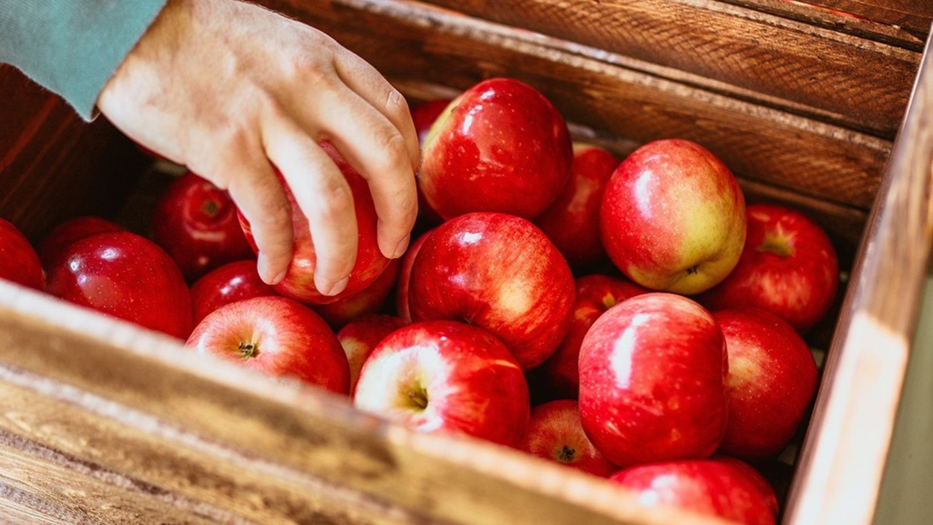 Las manzanas son unas grandes aliadas para la salud Las manzanas son unas grandes aliadas para la salud