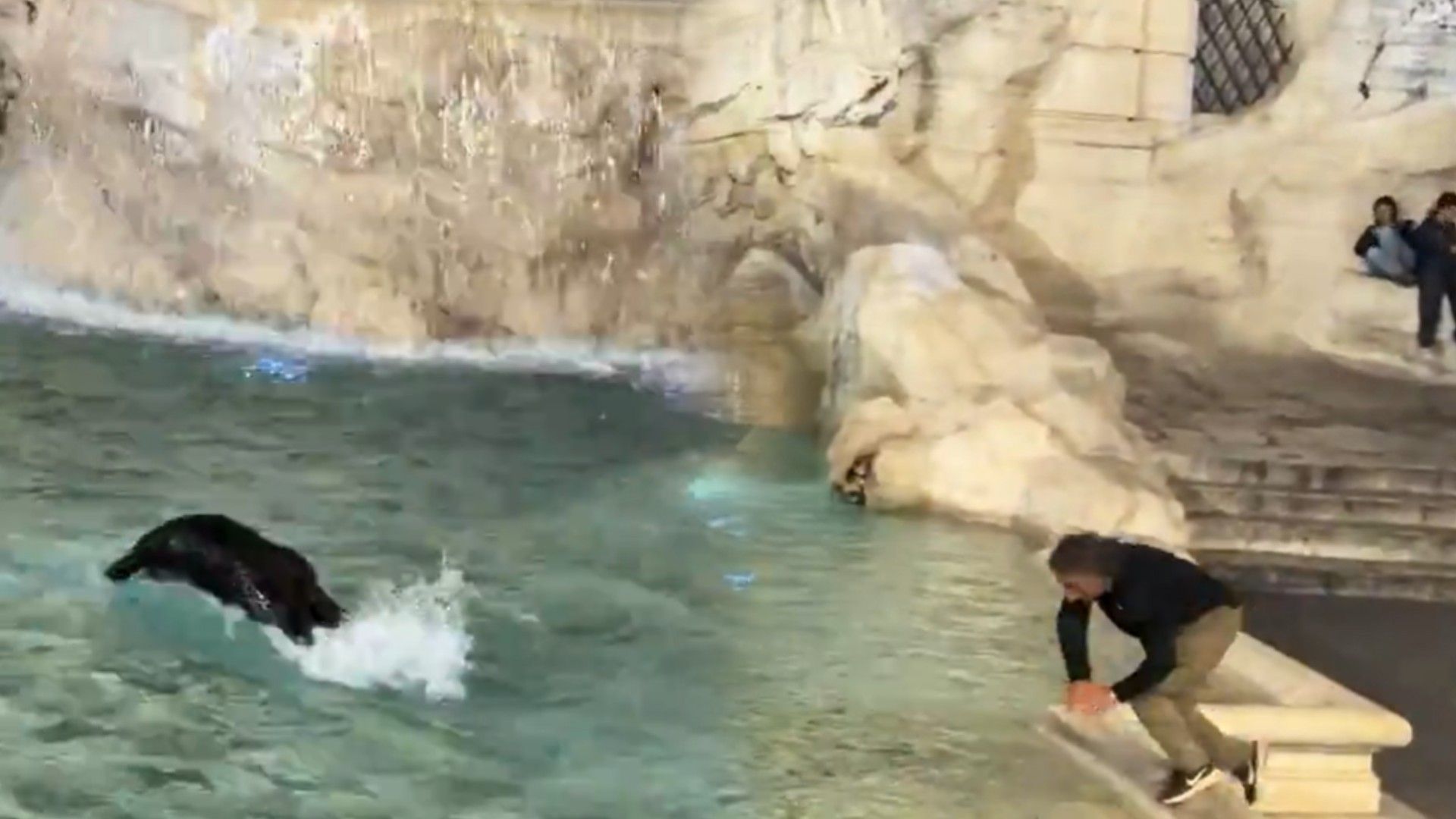 Multan a un turista con 500 euros por lanzarse de cabeza a la Fontana di Trevi y ponerse a nadar como si fuese una piscina Multan a un turista con 500 euros por lanzarse de cabeza a la Fontana di Trevi y ponerse a nadar como si fuese una piscina