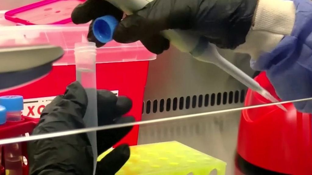 Por qué hay tantas dudas por los resultados de los test PCR a los pasajeros del crucero con hantavirus